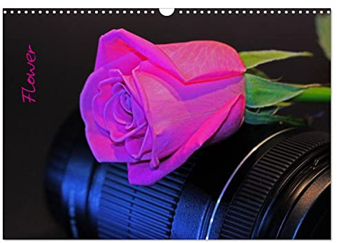 Flower (Wandkalender 2026 DIN A3 quer), CALVENDO Monatskalender: Aus Liebe zur Fotografie (CALVENDO Natur)