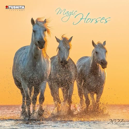Magic Horses 2027: Kalender 2027 (Wonderful World)