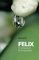 FELIX: Ein Kinderbuch für Erwachsene