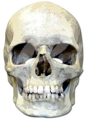 empireposter Skull - Masken - Promi Maske