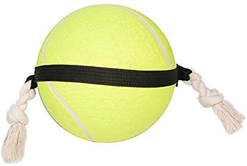 Flamingo HS MATCHBALL Tennisball 22CM