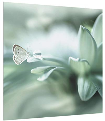 Glass Splashback - Butterfly And Dew Drops In Green Square 1:1, HxW 59cm x 60cm