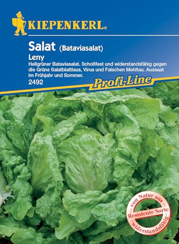 Kiepenkerl Profi-Line Bataviasalatsamen Leny 2492 - Schoßfest - Widerstandsfähig - Inhalt für 100 Pflanzen - Salat Pflanzen, Saatgut, Samen Salat