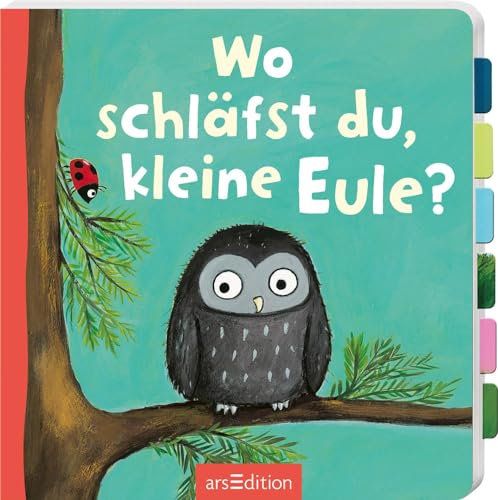 Wo schläfst du, kleine Eule?: Erstes Entdeckerbuch mit stabilen Klappen für Kinder ab 18 Monaten