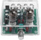 ISKDJBJG Scheda Amplificatore Valvolare Stereo 6J1 Preamp Tube Amplifier, Mixer Preamplificatore A Valvole e Buffer Bile, Kit Audio Fai-da-Te per Appassionati e Hobbisti.
