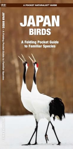 Japan Birds: A Folding Pocket Guide to Familiar Species (Wildlife and Nature Identification)