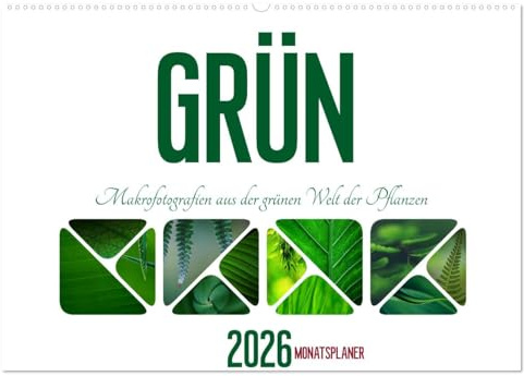 Grün Makrofotografien aus der grünen Welt der Pflanzen als Monatsplaner (Wandkalender 2026 DIN A2 quer), CALVENDO Monatskalender: Die Farbe Gün steht ... Klarheit und Frische. (CALVENDO Natur)
