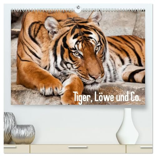 Tiger, Löwe und Co. (hochwertiger Premium Wandkalender 2026 DIN A2 quer), Kunstdruck in Hochglanz: Großkatzen im Mittelpunkt. (CALVENDO Tiere)