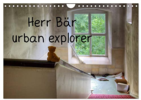 Herr Bär urban explorer (Wandkalender 2026 DIN A4 quer), CALVENDO Monatskalender: Der Herr Bär Kalender (CALVENDO Spass)