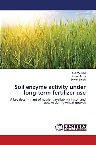 Soil enzyme activity under long-term fertilizer use: A key determinant of nutrient availability in soil and uptake during wheat growth