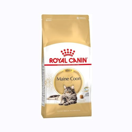 Royal Canin Maine Coon Adult | 400 g | Trockenfutter für Katzen | Angepasst auf den Bedarf von Maine Coon Katzen | Zur Unterstützung der Gelenke und Knochen