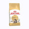 Royal Canin Maine Coon Adult | 400 g | Trockenfutter für Katzen | Angepasst auf den Bedarf von Maine Coon Katzen | Zur Unterstützung der Gelenke und Knochen