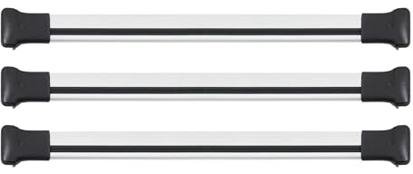 OMAC Dachträger Gepäckträger kompatibel mit Opel Vivaro 2014-2019 Relingträger Alu Silber 2X
