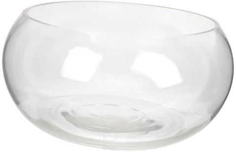 SUPVOX Bol en Verre Élégant pour Terrarium de Plantes Hydroponiques Et Poissons