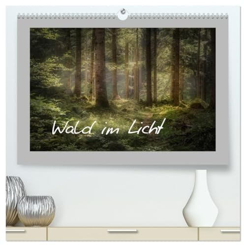 Wald im Licht (hochwertiger Premium Wandkalender 2026 DIN A2 quer), Kunstdruck in Hochglanz: Leuchtende Wälder im Jahreskreis (CALVENDO Natur)