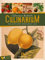 Culinarium - Wochenplaner Kalender 2021