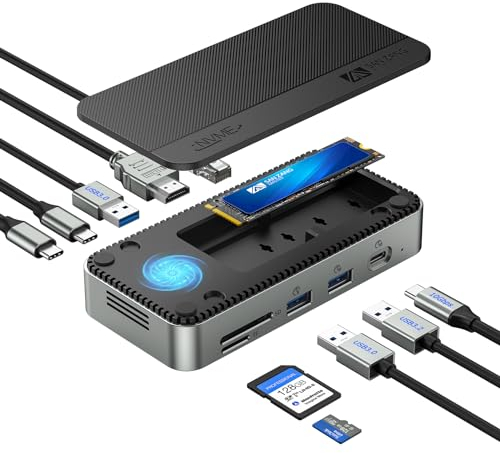 10 IN 1 Dockingstation mit externem M.2 SSD Gehäuse mit Lüfter, 10Gbps Übertragung, PD100W, 4K60Hz HDMI, 1000 Mb/s LAN, SD/TF, Kompatibel mit Windows /Mac OS Laptop, Reisen, Geschäftsreisen Schwarz