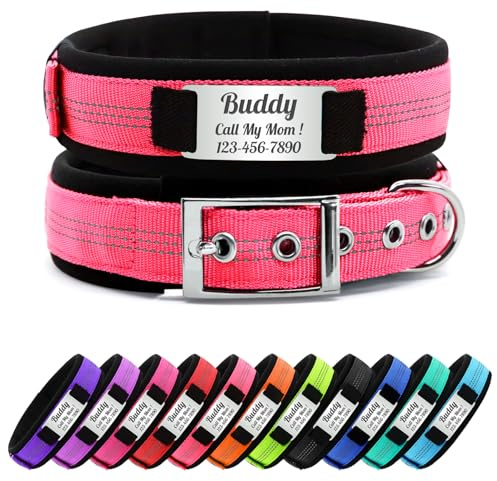 CHRYMPETIC Collier Chien Personnalisé avec Plaque, Rose Corail: S | Collier Réfléchissant en Nylon avec Plaque Métallique Gravée au Laser, Doublure Douce en Néoprène, Boucle et Anneau en Métal