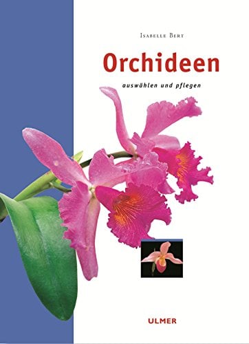 Orchideen, auswählen und pflegen