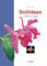Orchideen, auswählen und pflegen