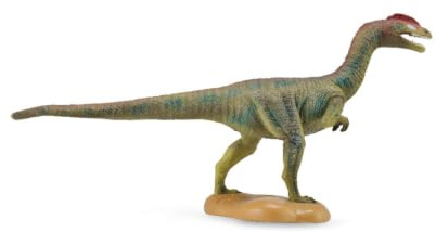 CollectA Liliensternus, Dinosaur Figure | Realistic Collectable Dinosaur Figure for Imaginative Play, Gift for Kids Age 3+