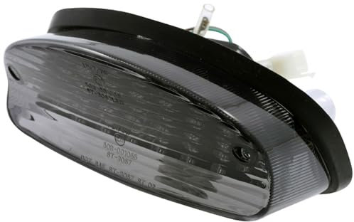 PW LED Rücklicht mit getöntem Glas kompatibel für Honda CB 600 Hornet 98-02, Motorrad