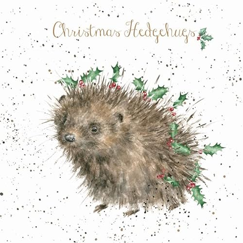 Wrendale - XB020 - Weihnachten, Kartenset, Acht Karten, Igel, Pappe, mit Umschlag