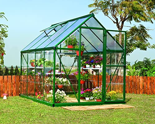 Palram HYBRID 6X8 Bundle Grün Gewächshaus, 247x185x208 cm
