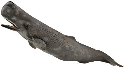Collecta Cachalotte, Sammelfigur, Größe XL, (Deqube 90188835)