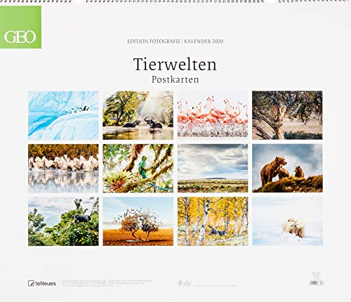 GEO Edition: Tierwelten 2020