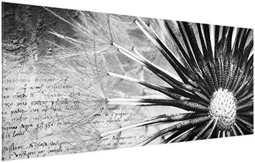 Bilderwelten Glasbild - Pusteblume Schwarz & Weiß - Panorama Quer, Größe: 50cm x 125cm