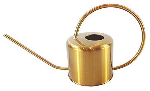 Cratone Gießkanne Gold 1300ml Edelstahl Metall Blumengießkanne Giesskanne Gartengießkanne Mit Langen Hals für Familie Büro Topfpflanzen Bonsai.1.3L