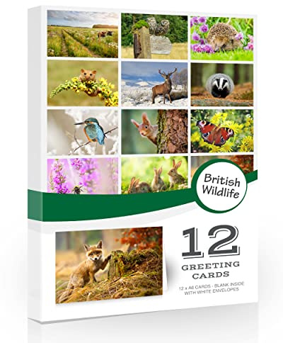 12 tarjetas de felicitación plegables con sobres de vida silvestre británica en blanco para todas las ocasiones