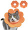 PUMYPOREITY 2 Stücke Halskrause Katzen Halsband Soft Weich Katze Schutzkragen Wundheilungs-Schutzkegel Anti Biss Schützender Kragen für Katzen Welpen(Orange, M)