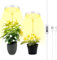 Ainiv 2PCS Lámpara de Plantas, 48 LED Luz de Crecimiento de Espectro Completo, 180° Grow Light con Temporizador Automático 3H/9H/12H y 9 de Brillo, Altura Ajustable, para Plantas Pequeñas