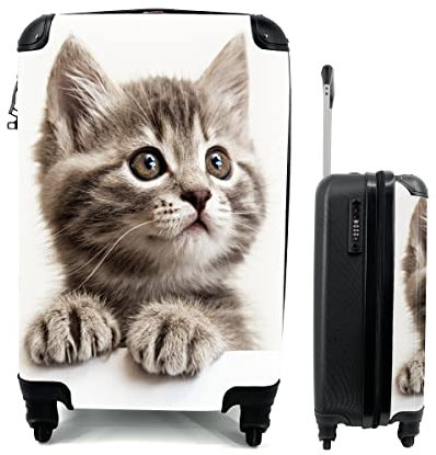 MuchoWow© Koffer Handgepäck Trolley Rollkoffer Kleine Reisekoffer mit 4 Rollen - Katze - Grau - Tiere - Cabin Size < 55x40x23 & 55x40x20 cm - Fotokoffer - Kabinenkoffer - Boardgepäck