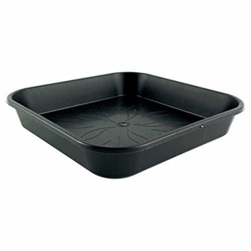 IVORYS-GARDEN 50 x Untersetzer 17,4 x 17,4 cm mit Blumenmuster Quadratisch Pflanzen Garten Muster