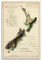 GELS Retro 2D Karte Poster Neuseeland Landkarte Dekorative Malerei Leinwand Kunst Bild 50 x 75 cm