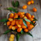 150 Pcs Kumquat Baum Samen, Winterfeste Pflanzen Für Balkon, Deko Obst Kumquats Samen Kaufen - Citrus Japonica - Frisches Obst Hochbeet Samen, Bonsai Baum Steingartenpflanzen Winterhart,