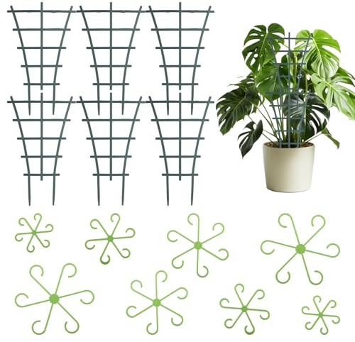 OMIGA Supporto per Piante Supporto per Piante da Interno per Piante in Vaso | Con Ganci Tutore Piante Rampicanti per Monstera Pothos Rampicante e Pomodori Ortensi 6 Pezzi