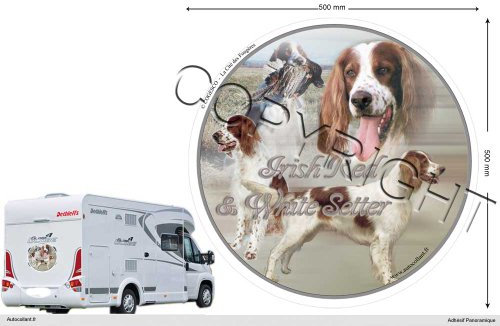 Circular Aufkleber Hund 50 cm Irish Red and White Setter