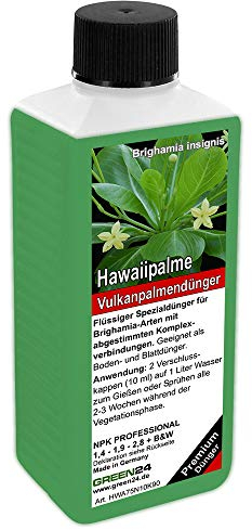 Hawaii-Palmen-Dünger HIGH-TECH Brighamia NPK Düngemittel für Vulkanpalmen in Beet und Kübel - Brighamia insignis düngen
