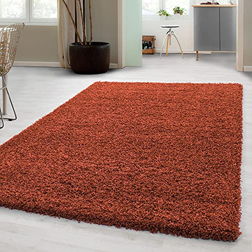 Carpetsale24 Shaggy Hochflor Teppich, 160x230 cm, Terrakotta, weich, flauschig, modern, einfarbig, Perfekt für Wohnzimmer, für Wohnzimmer Schlafzimmer Flur