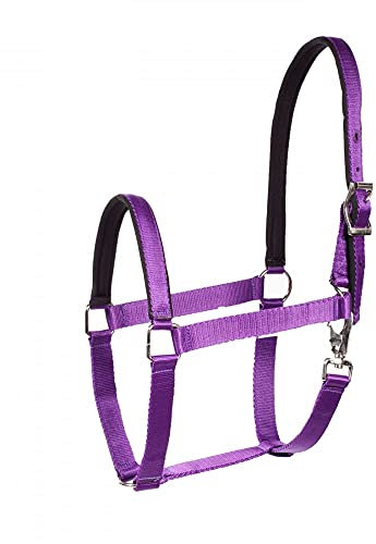 HORZE Supreme Halfter mit Polsterung, Lila, XF