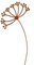 Manufaktur Lichtbogen Edelrost Gartenstecker Pusteblume 77 cm