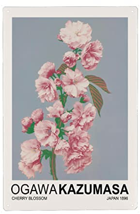 artboxONE Metall-Poster 30x45 cm Natur Kirschblüte - Ogawa Kazumasa von Künstler Nook Vintage Archive