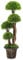 GiantexUK 1/2PCS Artificial Topiary Ball Tree, Faux Boxwood Topiary Plant with Cement Pot, Indoor & Outdoor Decorative Greenery Tree for Office Home Front Door (1)