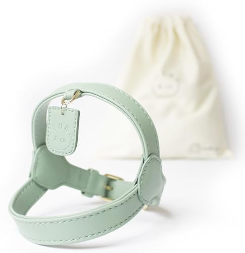 Muki & co® Hundegeschirr - doppellagig, verstellbar, komfortabel, sicher - für extra kleine, kleine und mittlere Hunde - Minzgrün, Größe S (38-45 cm)