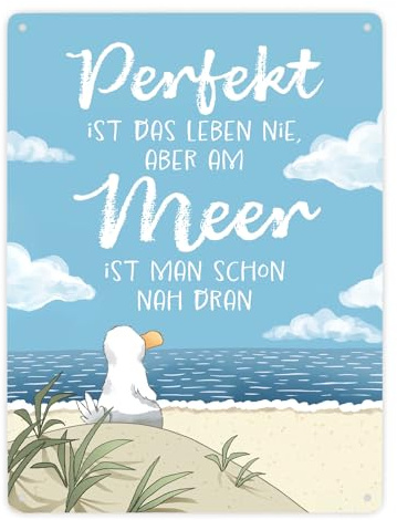 speecheese Metallschild XXL in 28x38 cm Möwe am Strand Leben am Meer | fast perfekt Norden Ankerplatz Urlaub Reise Küstenkind Küste Strandurlaub