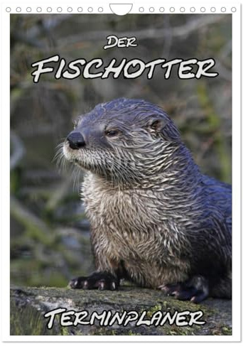 Der Fischotter-Terminplaner (Wandkalender 2026 DIN A4 hoch), CALVENDO Monatskalender: Fischotter - Schwimmende Marder (CALVENDO Tiere)